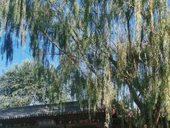 -纯阳宫(大同古城)