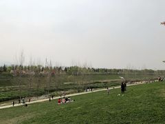 -洨河生态公园
