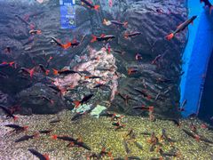 -威海华夏城景区