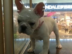 -乐宠宠物店(世纪金源店)