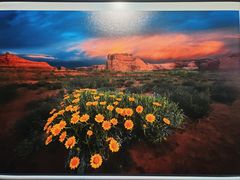 -罗红摄影艺术馆