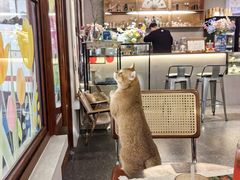 -想见你(咖啡·茶饮·甜品·江汉路店)