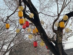 -云间粮仓