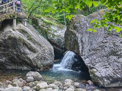 -牛背梁国家森林公园
