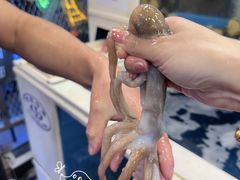 -真情鲍鱼海鲜汤