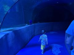 -太平洋海底世界