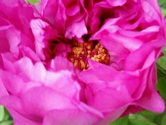 -美丽心情蛋糕(江苏路店)