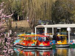 -宁波儿童公园(鄞州区)