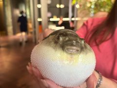 -肆月河豚·淮扬菜·湘菜(华天店)