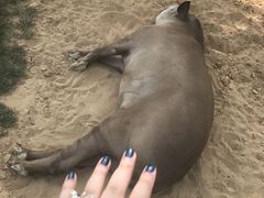 -西霞口神雕山野生动物世界