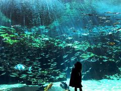 -西海国立公园九十九岛水族馆