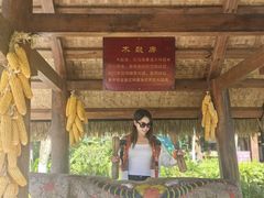 -云南民族村