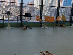 -怪兽屋·羊驼·猫咖·狗咖(俊华广场店)