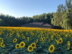 -长白岛森林公园