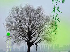 -武昌江滩