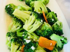 -金蝉食府(维吉奥广场店)