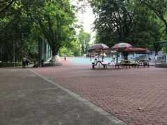 -中山公园(石岐街道)
