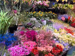 -大自然花鸟鱼虫市场