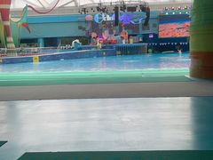 -水立方嬉水乐园