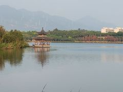 -飞来湖湿地公园