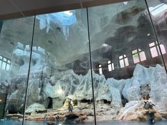 -帝企鹅自助餐厅•儿童岛•真企鹅(长隆企鹅酒店)