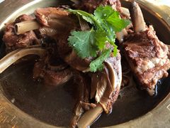 -和庆斋阳坊秘制羊蝎子火锅(云岗店)