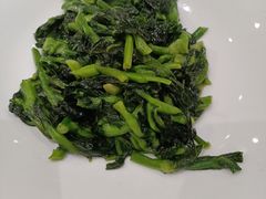 清炒豆苗-上海1号私藏菜(静安店)