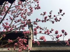 -龙潭水乡