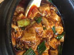 -陈麻婆豆腐总店