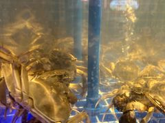 -锅儿欢海鲜火锅烤肉自助餐(东港凯虹店)