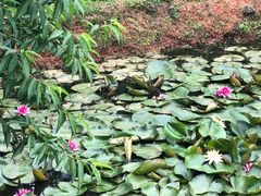 -盘龙城国家考古遗址公园