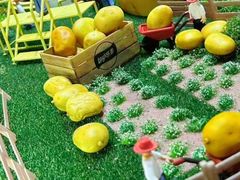-Calix&Lay's(新天地店)