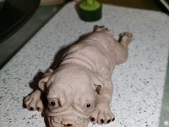 -光明招待所(邦凯科技园店)