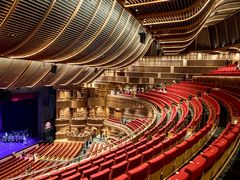 -交通银行前滩31演艺中心