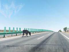 -库伦旗银沙湾旅游景区