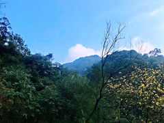 -南山植物园