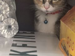 -皮蛋弟砂锅店(总店)