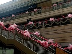 -中海环宇荟
