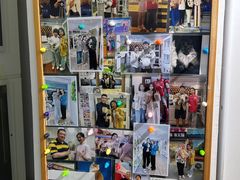 -青奢宠物·青奢猫舍