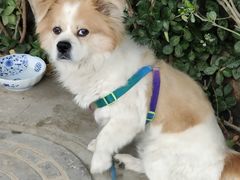 -梨木台悦来客农家院