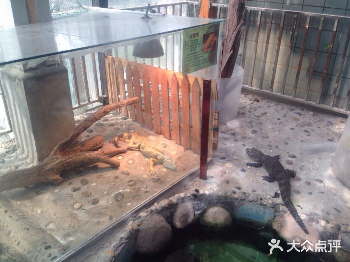上海大自然野生昆虫馆图片