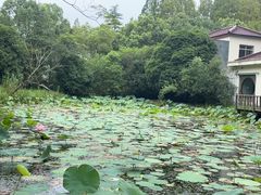 -上海怡沁园度假酒店