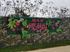 -福建鲤鱼洲酒店