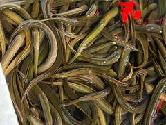 -铜元老码头鳝鱼火锅