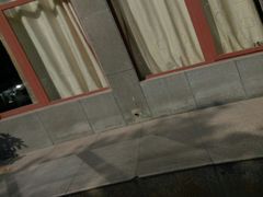 -清梅居涮坊•鲜活烤鱼(中心路万顺御花园店)