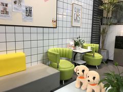 -半岛宠物医院24小时(科华中路店)
