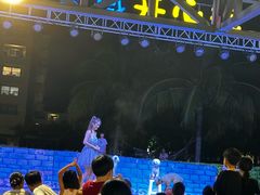-渔家火锅·海鲜自助餐·演艺(亚龙湾天域酒店)