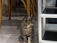 -吉友粥底火锅(方斜路店)