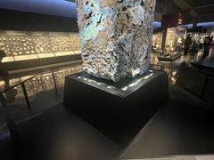 -美国自然历史博物馆