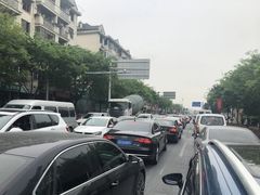 -嘉定紫藤园